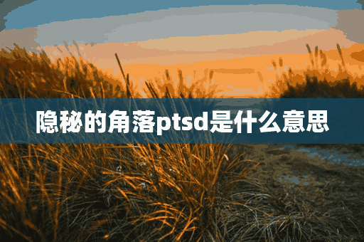 隐秘的角落ptsd是什么意思